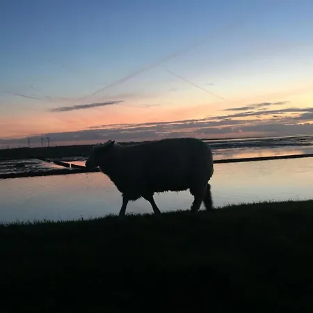 Klangwald Sylt Gbr | *fiffut* Apartamento