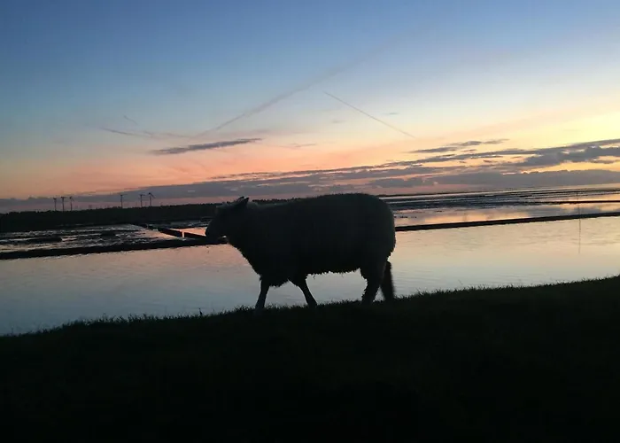 Klangwald Sylt House | *fiffut* شقة